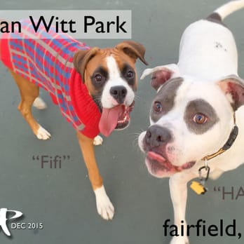 Allan Witt Park - The HAPA & Fifi, instant friends. - Parks Near Me - Fairfield, California Allan Witt Park - The HAPA & Fifi, instant friends. - Parks Near Me - Fairfield, California
