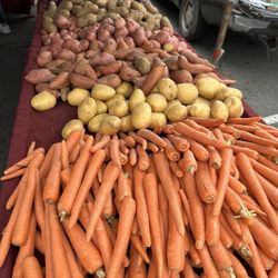 Avila Farms - Ground crops at the Fort Mason Center Farmers Market