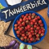 Thunderbird Berry Farm gift card