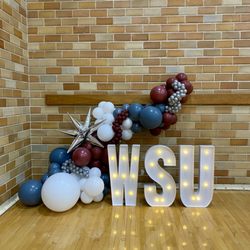 Palouse Balloons