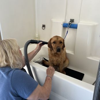 The Doggie Spa - Pet Groomers Near Me - Huntington Beach, California
