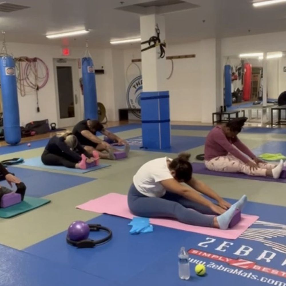 Thrive Jiu Jitsu - Mat area - Brazilian Jiu-jitsu Near Me - Pacifica, California