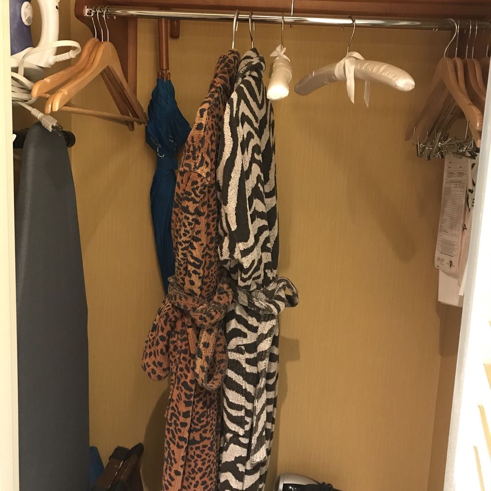 Kimpton Hotel Marlowe - Hotels Near Me - Cambridge, Massachusetts