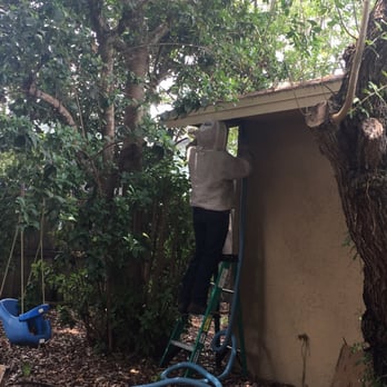 Bee Serious - Jason hard at work ! The hive was directly above where my little ones play. - Pest Control Near Me