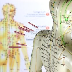 In Light Acupuncture and Herbology