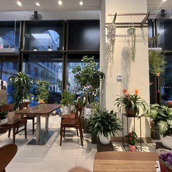 Remi Flower & Coffee - Seating area - Coffee & Tea Near Me - New York, New York Remi Flower & Coffee - Seating area - Coffee & Tea Near Me - New York, New York