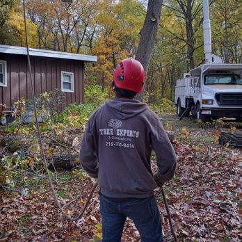 Edmonds Tree Experts - Removing 10 - 15 large Red oak tress that was a huge inconvenience to the property owner & a danger to the house - Tree Services Near Me - Portage, Indiana