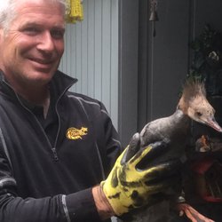 Critter Control of Southern Wisconsin