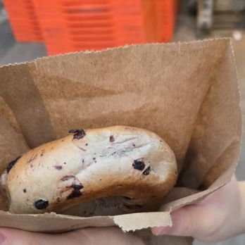 Fairmount Bagel - Blueberry bagel - Bagels Near Me - Montreal, Quebec Fairmount Bagel - Blueberry bagel - Bagels Near Me - Montreal, Quebec