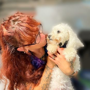 Affordable and Affectionate Pet Care - Pet Sitting Near Me Affordable and Affectionate Pet Care - Pet Sitting Near Me