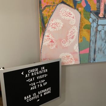 Mac Tabby Cat Cafe - Pricing - Themed Cafes Near Me - Salisbury, North Carolina Mac Tabby Cat Cafe - Pricing - Themed Cafes Near Me - Salisbury, North Carolina