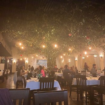 Firefly - Photo does not do it justice. The tree and lights are beautiful! - Steakhouses Near Me - Panama City Beach, Florida Firefly - Photo does not do it justice. The tree and lights are beautiful! - Steakhouses Near Me - Panama City Beach, Florida