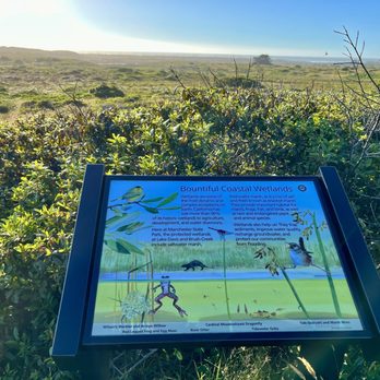 Manchester State Park - Sign - Parks Near Me - Manchester, California