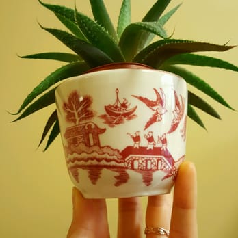 Fishs Eddy - Tea cup (~$9). No longer available in store. I use it as a planter. - Home Decor Near Me - New York, New York
