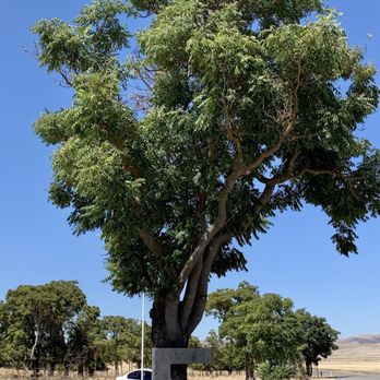 James Dean Crash Site & Memorial - 08.11.19 James Dean Memorial - Local Flavor Near Me - Cholame, California James Dean Crash Site & Memorial - 08.11.19 James Dean Memorial - Local Flavor Near Me - Cholame, California