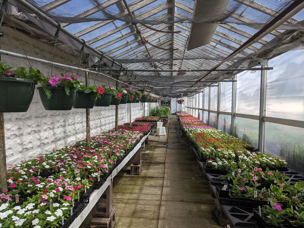 OSTERBROCK FLORIST Updated July 2024 38 Photos & 15 Reviews 1617