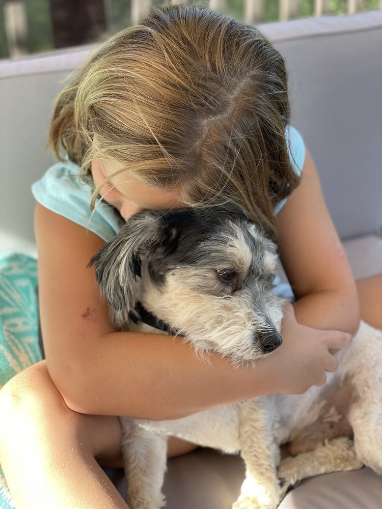 HEADS OR TAILS DOG GROOMING 17 W Jefferson St, Oswego, IL Yelp