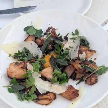 Bar Toti - Mushroom medley - Wine Bars Near Me - Austin, Texas