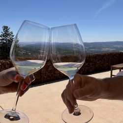 Wild Diamond Vineyards