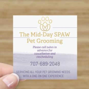 The Mid-Day SPAW - Pet Groomers Near Me The Mid-Day SPAW - Pet Groomers Near Me