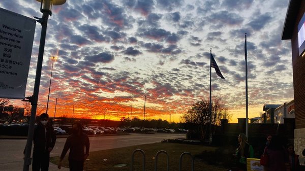 Houston Premium Outlets by null