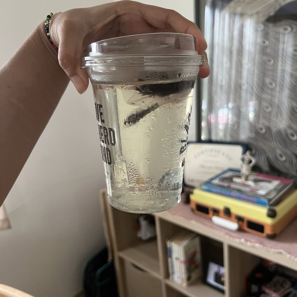 Black Sheep Coffee - Ice water with tea bag...my partner had to heat up water and put it in a mug when we got home. Ridiculous! - Coffee & Tea Near Me - Miami, Florida