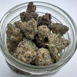 Cedar Wellness - 10 grams for ONLY $25