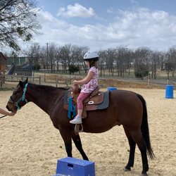 Heavenly Horse Acres - Riding Trav