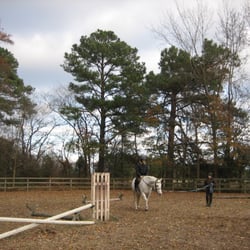 Sea Breeze Ponies - Before the instructor set me free.