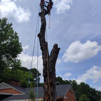 Green Planet Professional Tree Service - Tree Services Near Me - Prattville, Alabama Green Planet Professional Tree Service - Tree Services Near Me - Prattville, Alabama