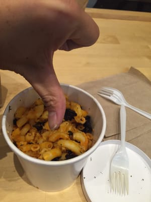 Blossom on Columbus by null