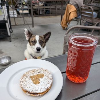 Three Forks Bakery & Brewing - Blackberry mint kombucha and almond chocolate cookie sandwich - Bakeries Near Me - Nevada City, California Three Forks Bakery & Brewing - Blackberry mint kombucha and almond chocolate cookie sandwich - Bakeries Near Me - Nevada City, California
