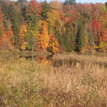 Manistee River Trail - So many beautiful views on this 22-mile path. - Hiking Near Me - Mesick, Michigan