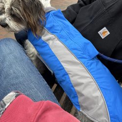 Paws & Whiskers - Dog jacket