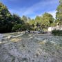 Photo of Cowen Park