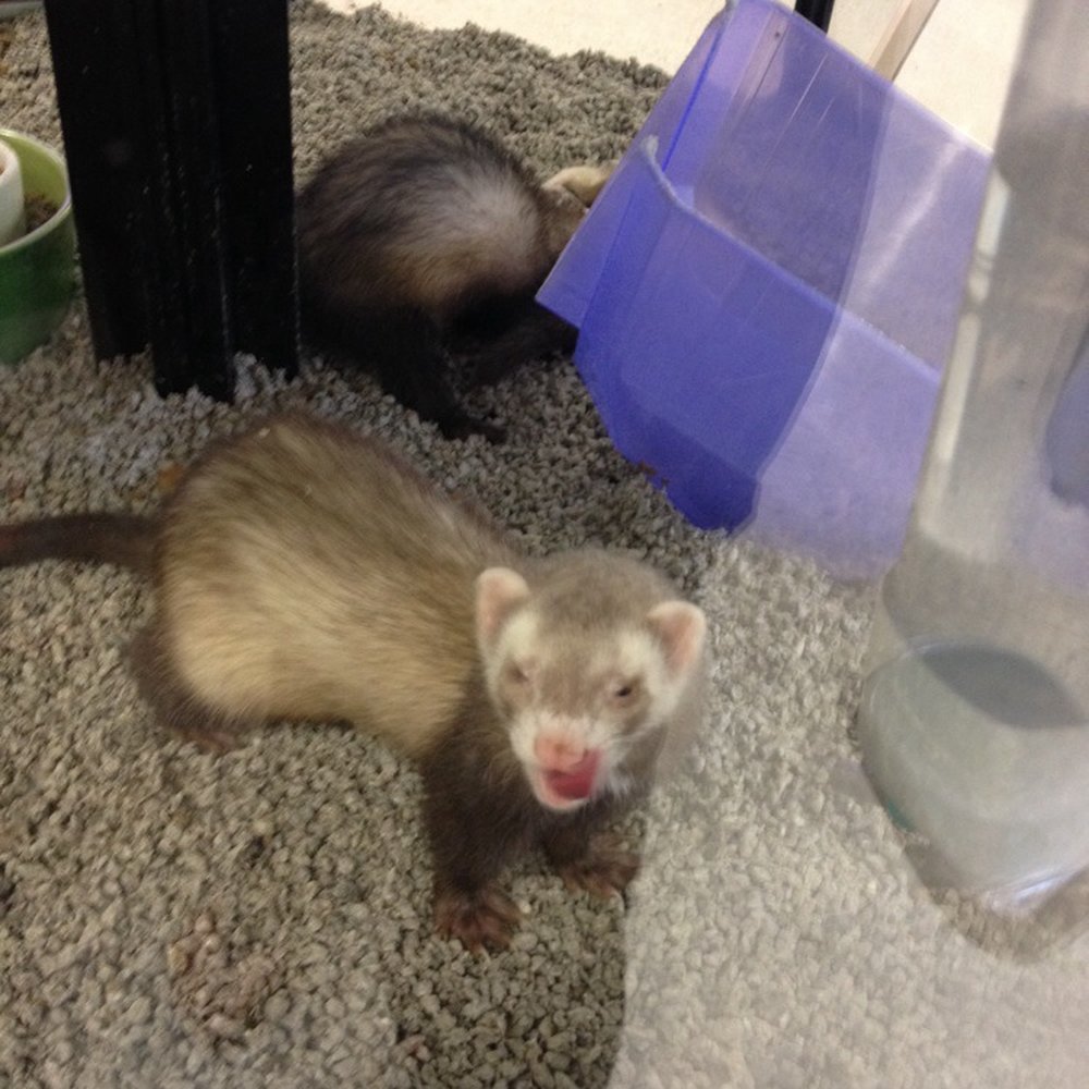Petco - Pet Training Near Me - Poughkeepsie, New York Petco - Pet Training Near Me - Poughkeepsie, New York