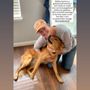 Photo of Love and Loyalty Dog Training