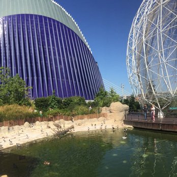 Oceanogràfic - Aquariums Near Me - Valencia, V