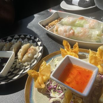 Wild Elephant  - Crab Rangoon, Spring Rolls and 5 Piece Pot Stickers - Asian Fusion Near Me - Irondequoit, New York