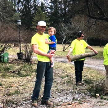 Tree Biz - Tree Services Near Me Tree Biz - Tree Services Near Me