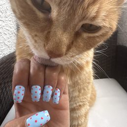 Gel mani Gel mani
