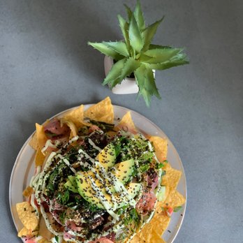 Vibe Cafe - Poke nachos (special) - Cafes Near Me - Hilo, Hawaii Vibe Cafe - Poke nachos (special) - Cafes Near Me - Hilo, Hawaii