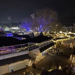 Yuletide At Devon