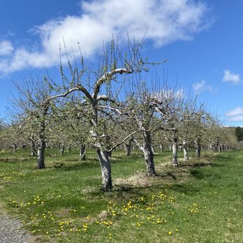 Hilltop Orchards - Wine Tasting Room Near Me - Richmond, Massachusetts