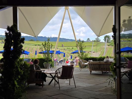 Adelsheim Vineyard by null