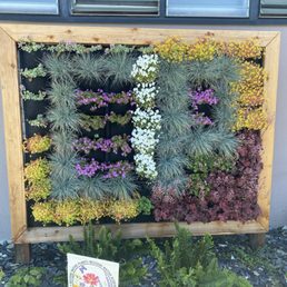 New vertical garden. New vertical garden.