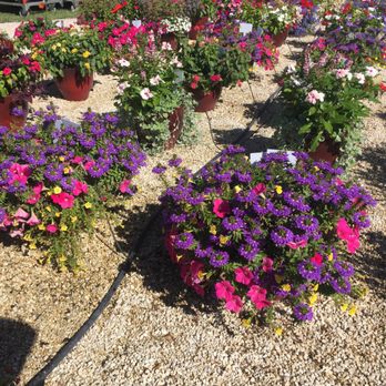 Costa Color - God I love my job! - Ranches Near Me - Miami, Florida Costa Color - God I love my job! - Ranches Near Me - Miami, Florida
