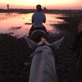 Horses On The Beach - Horseback Riding Near Me - Corpus Christi, Texas
