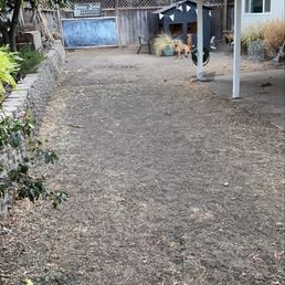 Before
