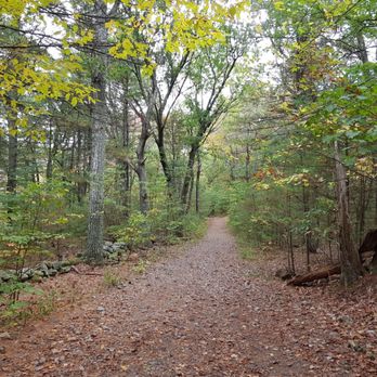 Noanet Woodlands - Scenic and clean walk - Parks Near Me - Dover, Massachusetts
